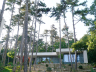 Erdei Villa - vendégház - STOA STUDIO | STOA STUDIO