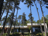 Erdei Villa - vendégház - STOA STUDIO | STOA STUDIO