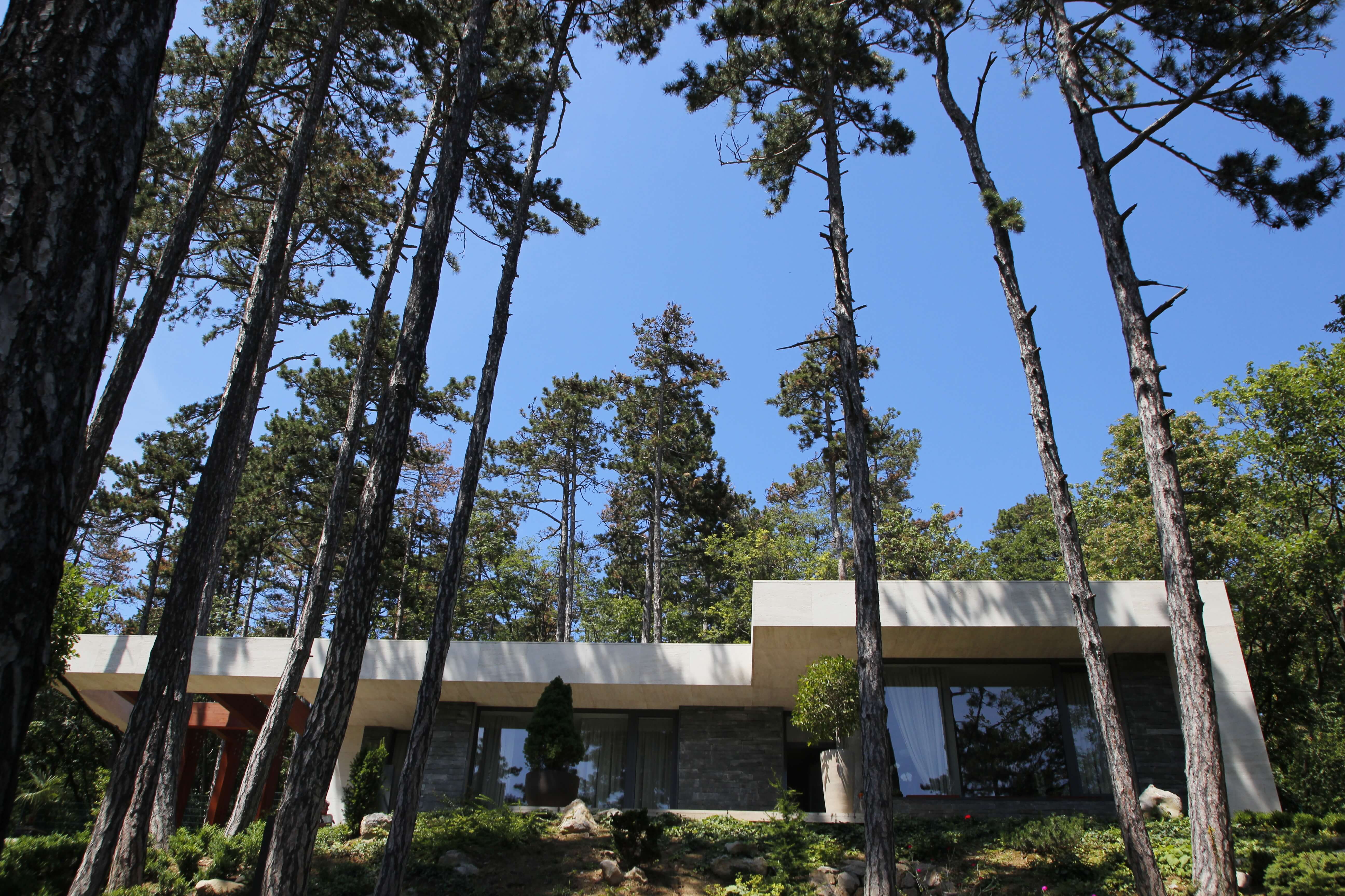 Erdei Villa - vendégház - STOA STUDIO